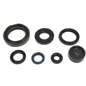 Athena Radiale dichtringenset, motor P400485400254
