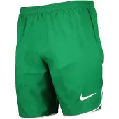 Nike Sportbroek groen / wit