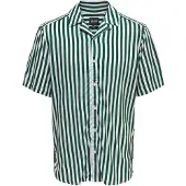 Only & Sons Overhemd 'Wayne' donkergroen / wit