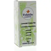 Volatile Lavendel