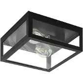 Eglo 99122 Amezola Wand-/plafondlamp Staal Zwart/Glas Helder - 2 x E27