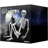 Mikamax Life Size Skeleton - 170 cm - Human Size - Halloween Skelet