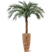 Maxifleur Kunstplanten Phoenix kunstpalm OD deluxe 225cm