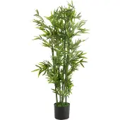 Dulaire Grote Kunst Bamboe Plant