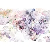 Komar Fotobehang Wish - Meerkleurig - 2,48m X 368cm
