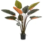 Emerald Philodendron plant h120cm groen
