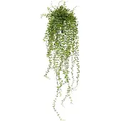 Maxifleur Kunstplanten Callisia kunst hangplant 70cm - UV bestendig