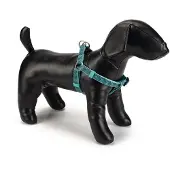 Beeztees BZ NY GESCH GEO DONKERGROEN 46-7 (Hond, Hondensport)