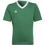 Adidas Functioneel shirt 'Entrada 22' grasgroen / wit