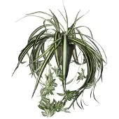 Mica Kunstplant Chloraphytum, lengte 45 cm
