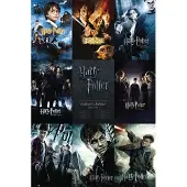 Art GBeye Harry Potter Collection Poster 61x91,5cm