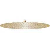 vidaXL Regendouchekop rond 50 cm roestvrij staal goudkleurig