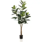 Emerald Ficus elastica tree 65lvs/180 cm
