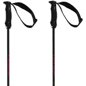 Völkl Rentastick Carbon Stokken