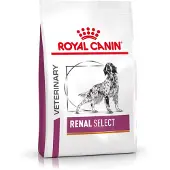 Royal Canin Hondenvoer Droog Renal Select Renal Select 10 kg