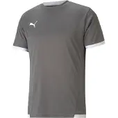 Puma teamLIGA Voetbalshirt Grijs Wit