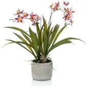 Emerald Kunstplant Oncidium