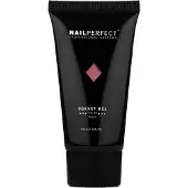 Nail Perfect Sqeasy Gel 60gr