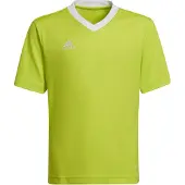Adidas Functioneel shirt 'Entrada 22'