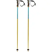 Völkl Phantastick 16 Mm Stokken