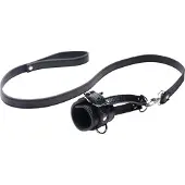 Strict Ball Stretcher met hondenriem