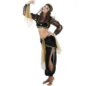 Boland Kostuum Arabische Prinses