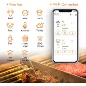 Inkbird IBBQ-4T WIFI Thermometer