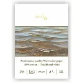SMLT Aquarelblok Professional A3 300gr 10 vel