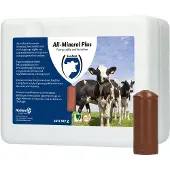 Excellent All-Mineral Plus