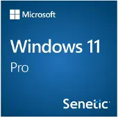 Windows 11 Pro 64 Bit DVD OEM UK