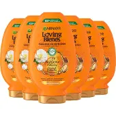 Garnier 6x Loving Blends Argan- En Cameliaolie Conditioner 250 Ml