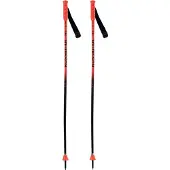 Rossignol Hero Gs Junior Stokken