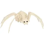 Boland Spinnenskelet (35 cm)