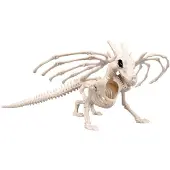 Boland - Decoratie Skelet draak - Horror - Horror