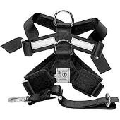 MimSafe Allsafe Xl >55kg Car harness - crash-tested