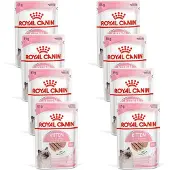 Royal Canin 96x Kitten Loaf Kattenvoer Nat 85 gr