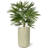 Maxifleur Kunstplanten Baby Fan kunstpalm 45cm
