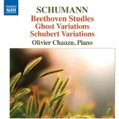 OUTHERE Olivier Chauzu - Beethoven Studies/Ghost Variations (CD)