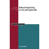 Boom uitgevers Den Haag Schaalvergroting in het Privaatrecht