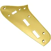 AllParts AP0658002 Bovenste Controleplaat in Goud voor Jaguar