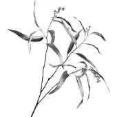 Silk-ka Kunstbloem-Zijde Eucalyptus Tak Zilver 98 cm