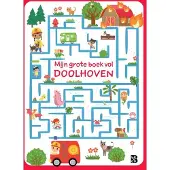 Standaard Uitgeverij Mijn grote boek vol doolhoven