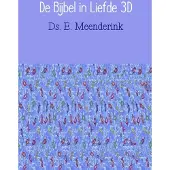 Brave New Books De Bijbel in liefde 3D