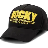 Local Fanatic Baseball pet rocky balboa