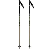 Rossignol Freeride Pro Safety Stokken