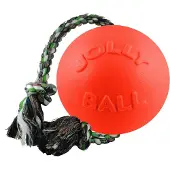 Jolly Pets Jolly Ball Romp-N-Roll 20 Cm Oranje (Vanillegeur)