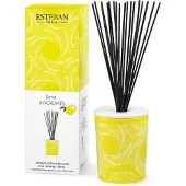 Esteban Classic Terre d'Agrumes Geurstokjes Decoratief 100ml