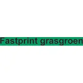 Quantore Kopieerpapier Fastprint-100 A4 120Gr Grasgroen