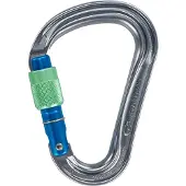Climbing Technology Warlock Karabijnhaak, zilver 2023 Karabijnhaken
