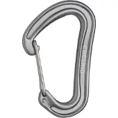 Edelrid Nineteen G II Karabijnhaak, grijs 2023 Karabijnhaken